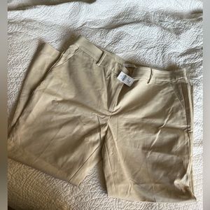 Ann Taylor Khaki Pants